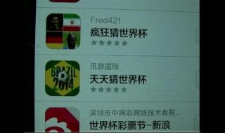 在哪个网站买世界杯